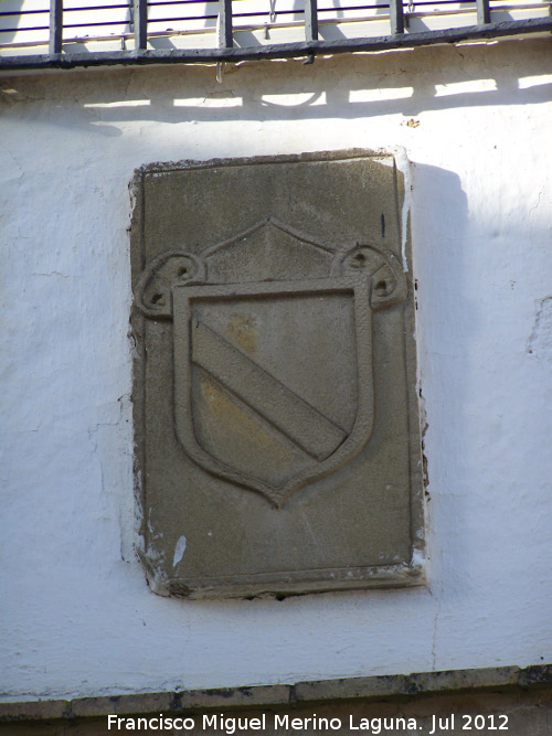 Palacio de los Carvajales - Palacio de los Carvajales. Escudo de los Carvajales