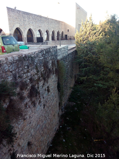 Castillo Viejo de Santa Catalina - Castillo Viejo de Santa Catalina. Muralla