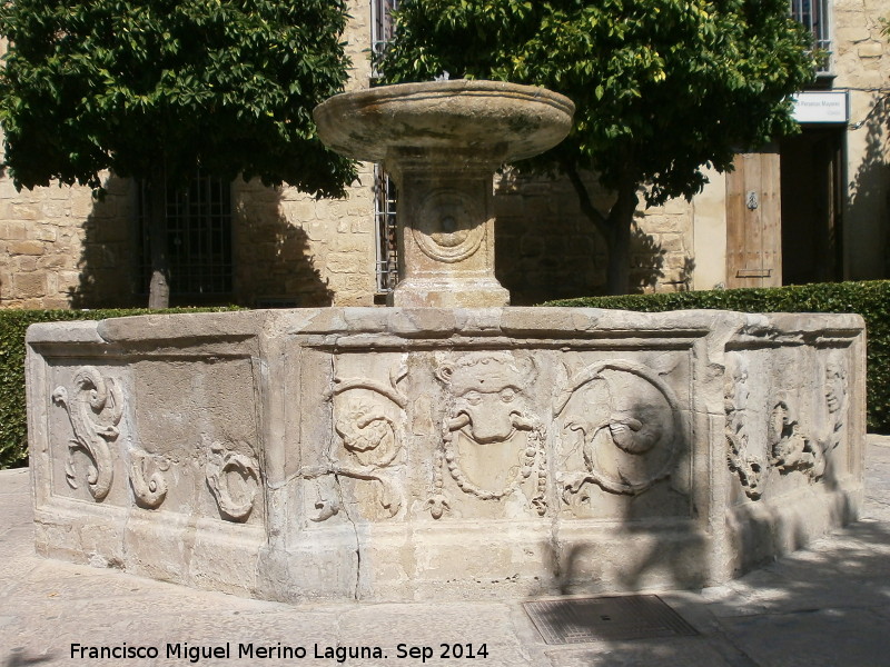 Fuente de la Plaza Vzquez de Molina - Fuente de la Plaza Vzquez de Molina. 