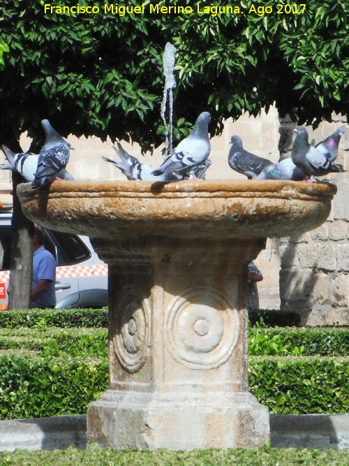 Fuente de la Plaza Vzquez de Molina - Fuente de la Plaza Vzquez de Molina. 