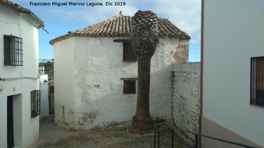 Calle Gradeta de Santo Toms - Calle Gradeta de Santo Toms. Con la palmera podada