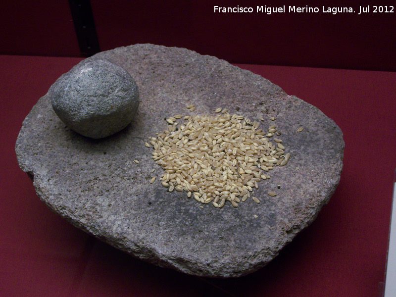 Eras del Alczar - Eras del Alczar. Molino barquiforme. Museo Arqueolgico de beda