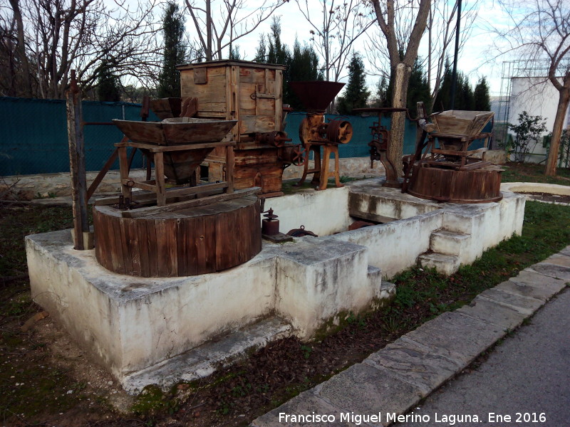 Museo de la Cultura del Olivo - Museo de la Cultura del Olivo. 