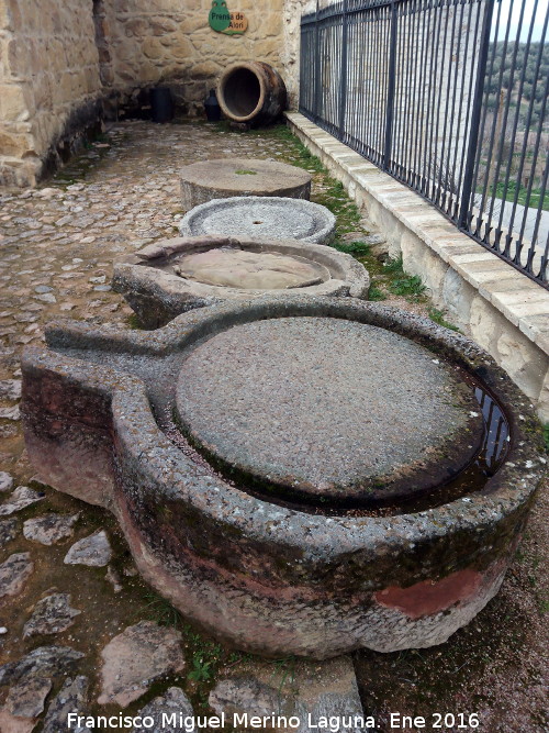 Museo de la Cultura del Olivo - Museo de la Cultura del Olivo. Piedras de molino