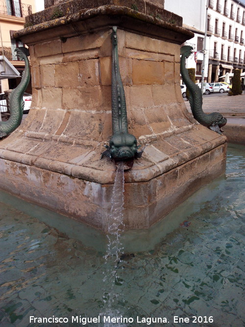 Fuente de la Estrella - Fuente de la Estrella. Cao