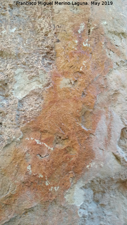 Pinturas rupestres del Paso del Canjorro I - Pinturas rupestres del Paso del Canjorro I. Panel