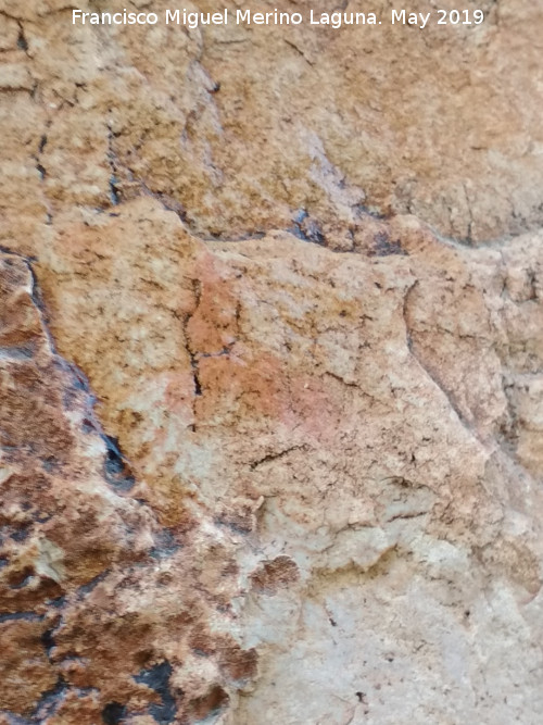 Pinturas rupestres del Paso del Canjorro I - Pinturas rupestres del Paso del Canjorro I. 