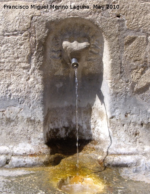 Fuente del Arrabalejo - Fuente del Arrabalejo. Cao