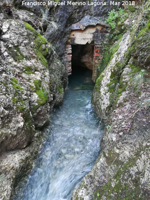 Cueva de los Baos - Cueva de los Baos. Saliendo agua de ella y produciendo el nacimiento del Arroyo de los Baos