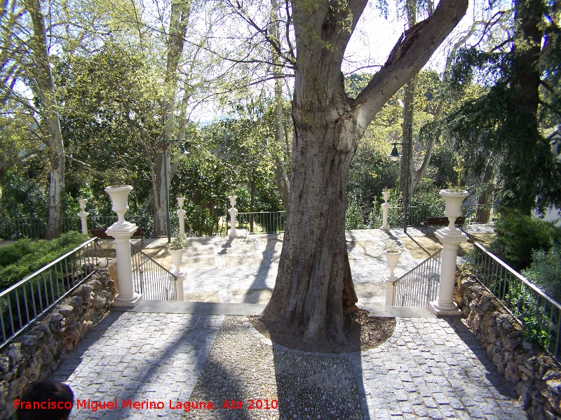 Jardines de Jabalcuz - Jardines de Jabalcuz. 