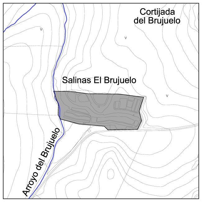 Salinas del Brujuelo - Salinas del Brujuelo. Situacin