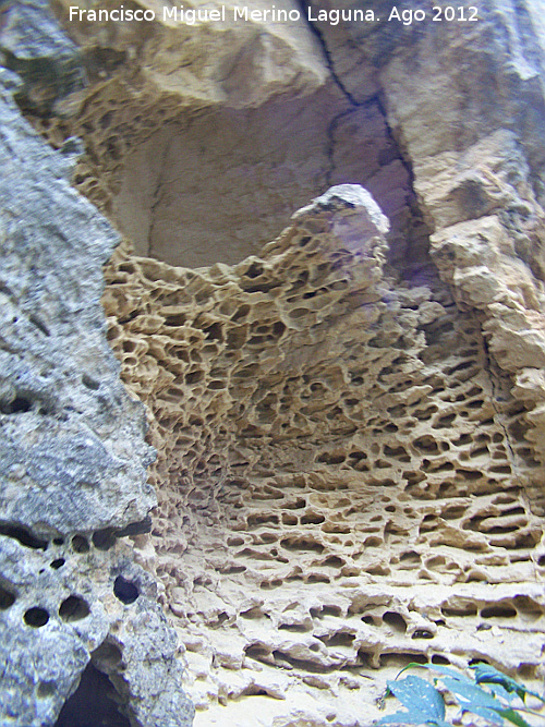 Paso de la Silleta - Paso de la Silleta. El Cerebro