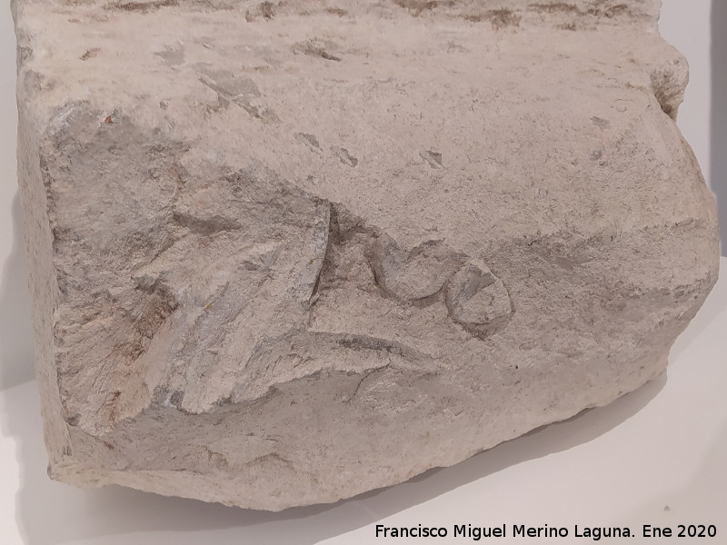 Palacio ibero del Cerro de la Merced - Palacio ibero del Cerro de la Merced. Sillar decorado que se ha retallado el relieve hasta casi hacerlo desaparecer para embutirlo en el muro