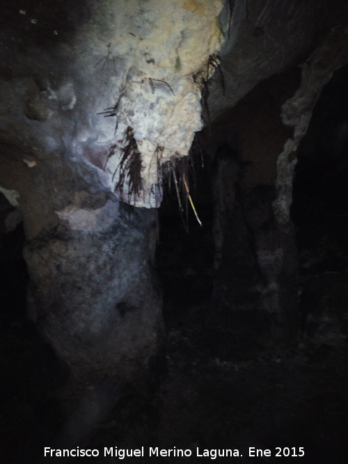 Cueva del Morrn - Cueva del Morrn. Raices