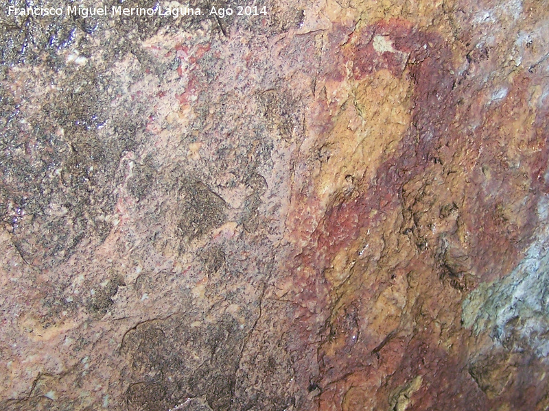 Pinturas rupestres del Pasillo del Zumbel Bajo - Pinturas rupestres del Pasillo del Zumbel Bajo. Oculado