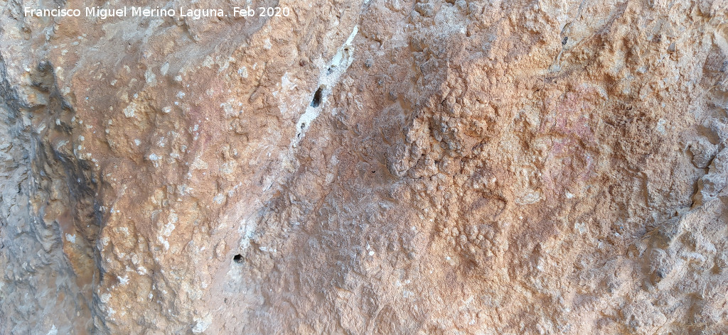 Pinturas rupestres Abrigo Este de las Pe�as de Castro III - Pinturas rupestres Abrigo Este de las Pe�as de Castro III. Barras