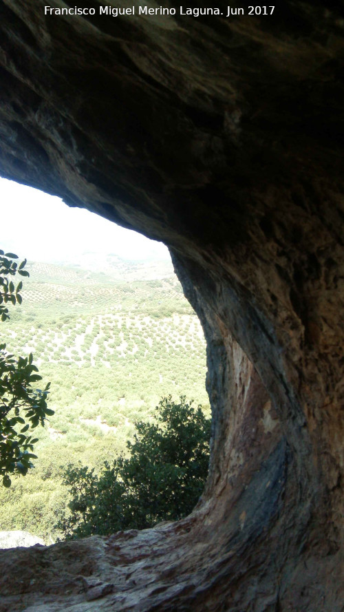 Pinturas rupestres del Abrigo de Peas Rubias I - Pinturas rupestres del Abrigo de Peas Rubias I. Desde el interior de la cueva