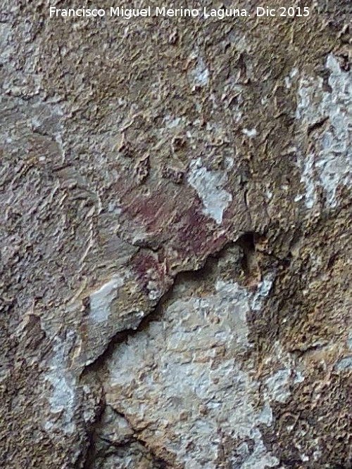 Pinturas rupestres de la Cueva de la Arena - Pinturas rupestres de la Cueva de la Arena. Pinturas rupestres superiores