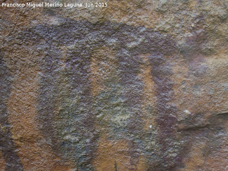 Pinturas rupestres del Barranco de la Cueva Grupo VI - Pinturas rupestres del Barranco de la Cueva Grupo VI. Zooformo del panel I