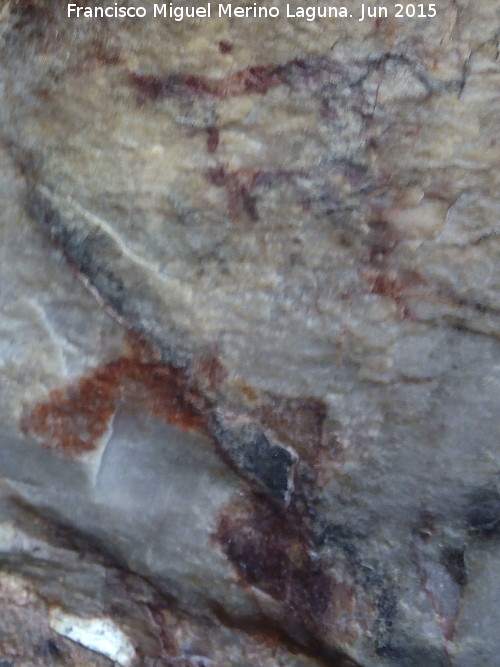 Pinturas rupestres de la Cueva de los Arcos III - Pinturas rupestres de la Cueva de los Arcos III. Zooformos