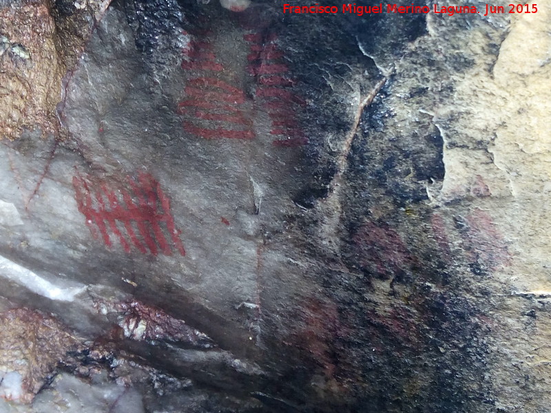 Pinturas rupestres de la Cueva de los Arcos III - Pinturas rupestres de la Cueva de los Arcos III. Pectiniformes