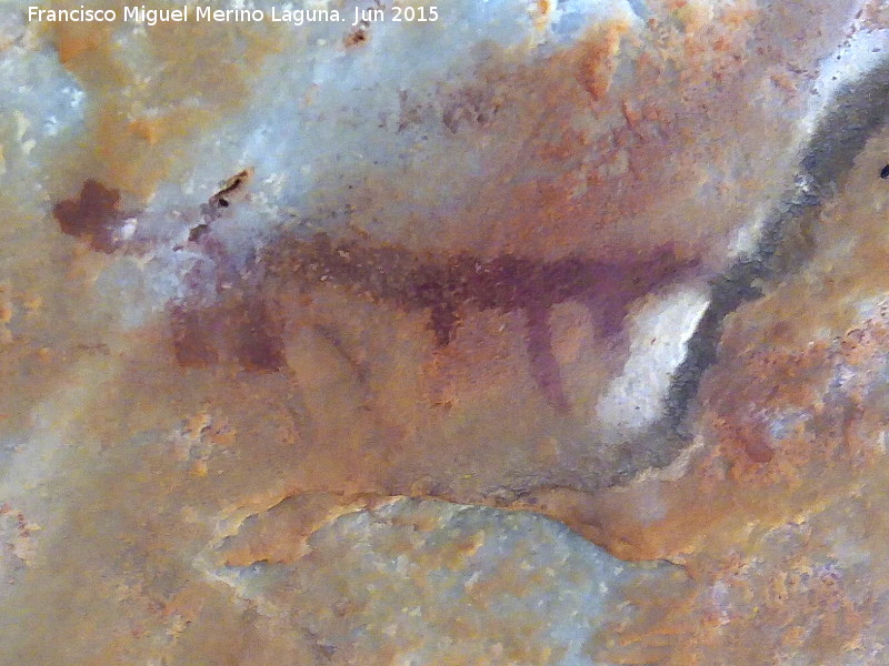 Pinturas rupestres de la Cueva de los Arcos IV - Pinturas rupestres de la Cueva de los Arcos IV. Zooformo