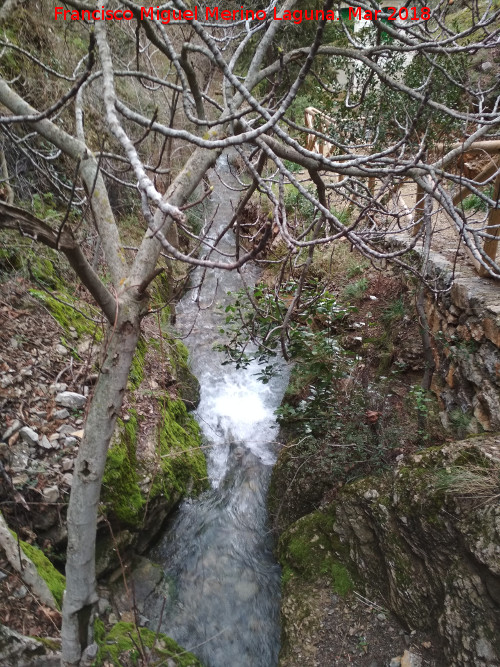 Arroyo de los Baos - Arroyo de los Baos. Cerca de su nacimiento