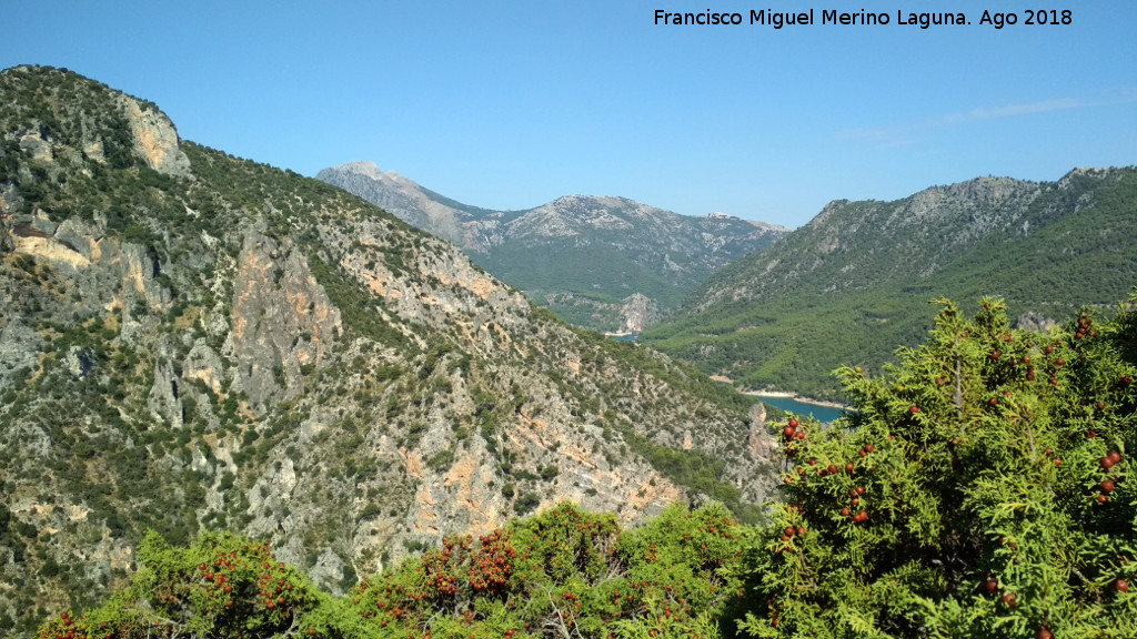 Cerro Pitillos - Cerro Pitillos. Desde la Caada del Sabinar