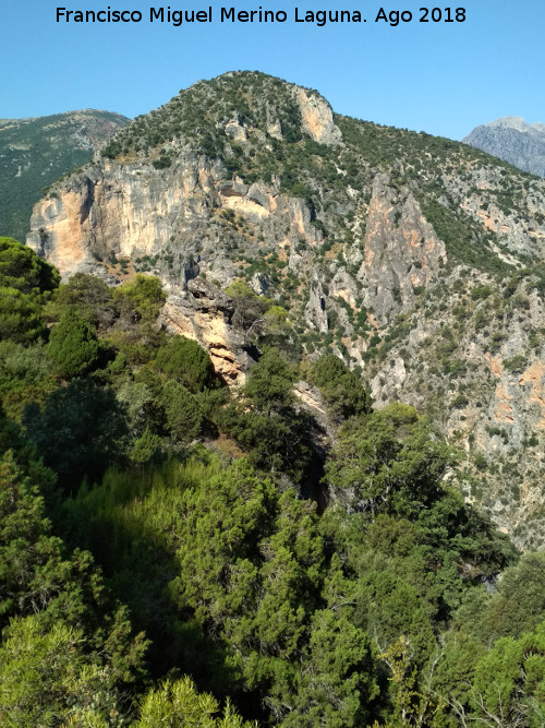 Cerro Pitillos - Cerro Pitillos. Desde la Caada del Sabinar