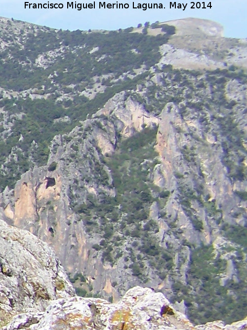 Rinconada de los Acebuches - Rinconada de los Acebuches. 