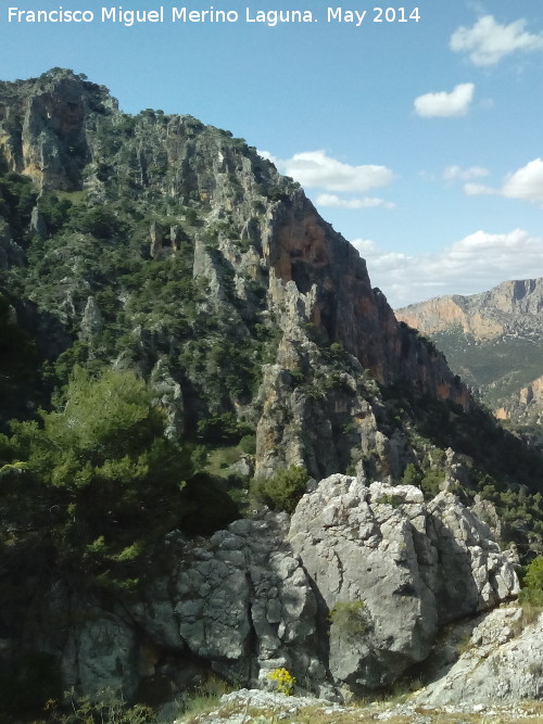 Rinconada de los Acebuches - Rinconada de los Acebuches. 