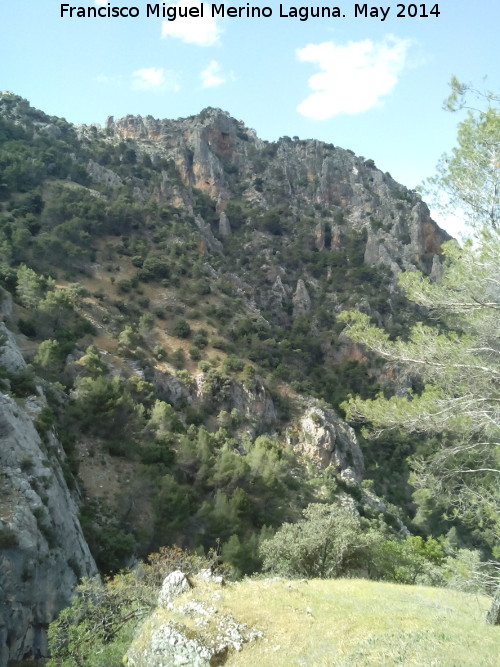 Rinconada de los Acebuches - Rinconada de los Acebuches. 