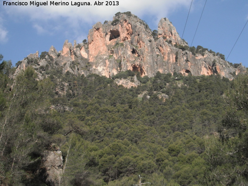 Rinconada de los Acebuches - Rinconada de los Acebuches. 