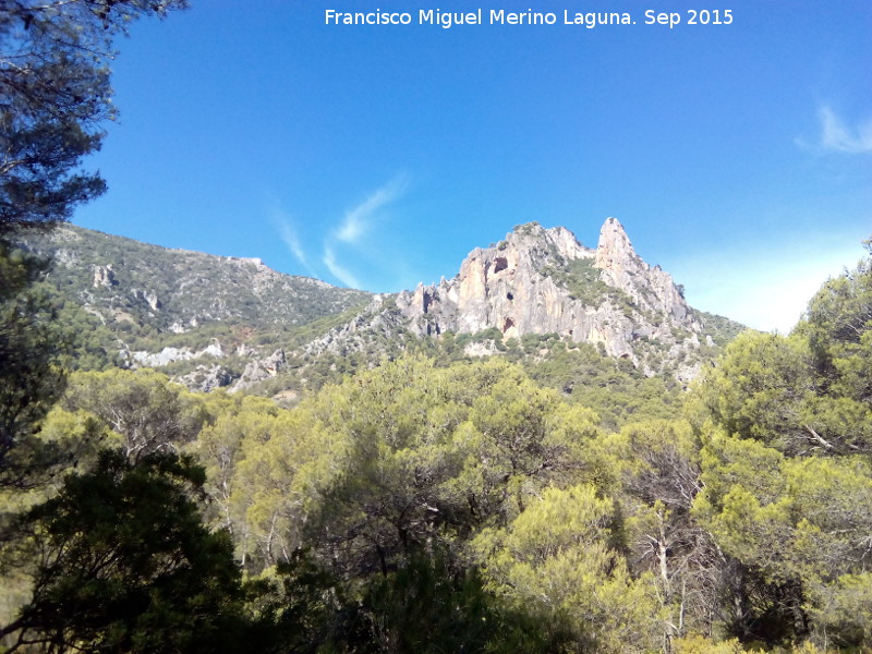 Rinconada de los Acebuches - Rinconada de los Acebuches. 