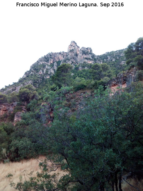 Rinconada de los Acebuches - Rinconada de los Acebuches. 