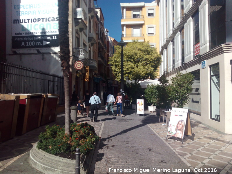 Calle Federico Mendizbal - Calle Federico Mendizbal. 