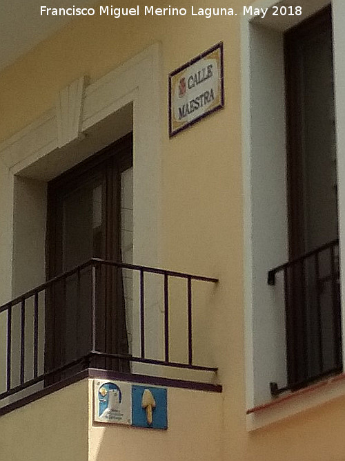 Calle Maestra - Calle Maestra. Placas