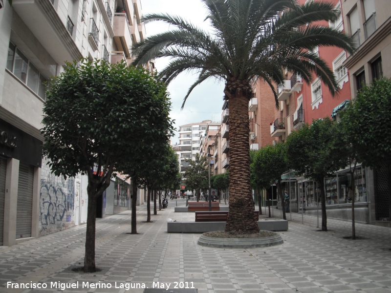 Calle Navas de Tolosa - Calle Navas de Tolosa. 
