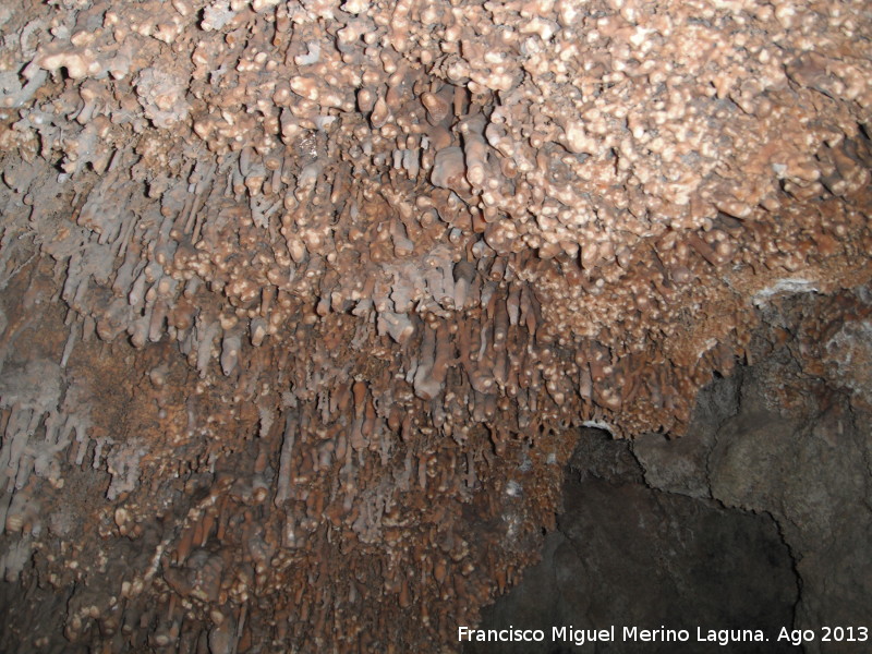 Cueva del Molinete - Cueva del Molinete. Techos