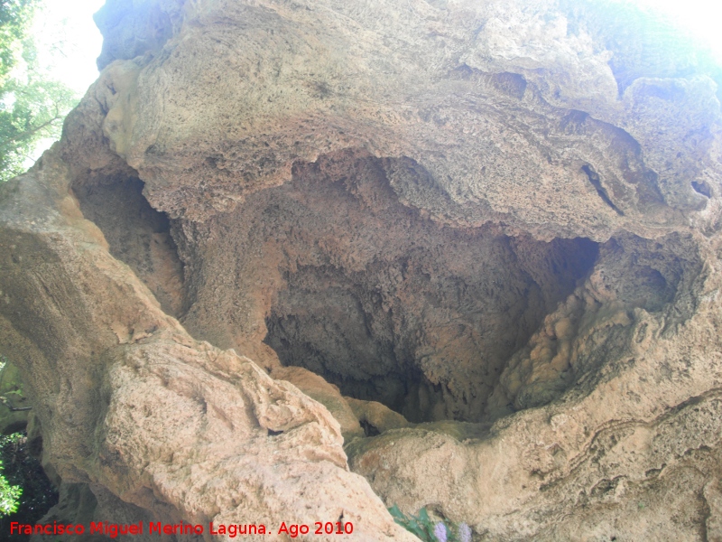 Cueva Superior del Molinete - Cueva Superior del Molinete. 