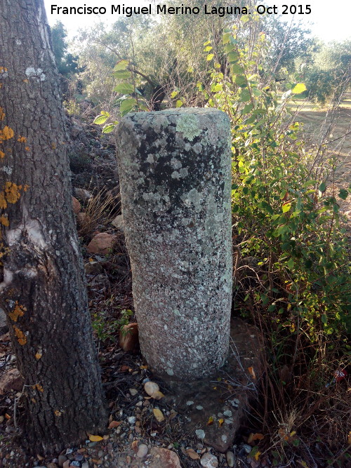 Villa romana de la Encina - Villa romana de la Encina. Fuste de columna