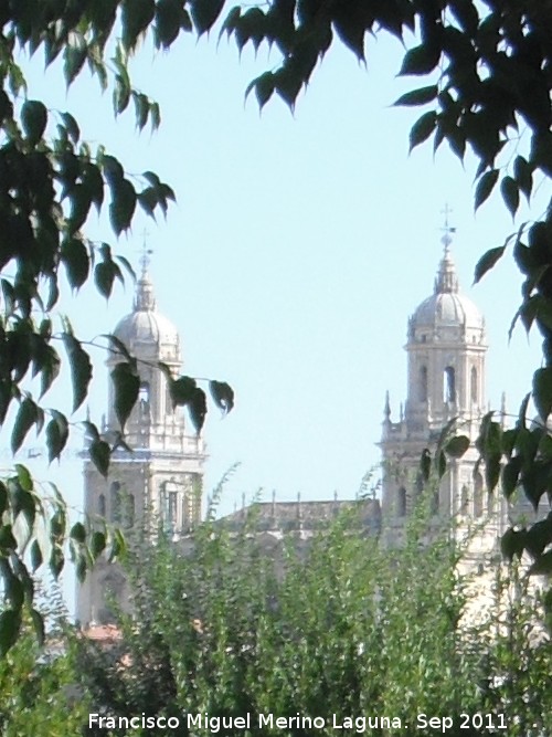 Catedral de Jaén - Catedral de Jaén. Desde el Parque del Seminario