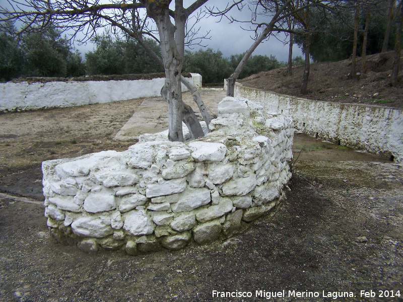 Pozo del Campillo - Pozo del Campillo. Lateral del pozo