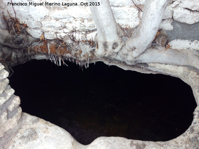 Pozo del Campillo - Pozo del Campillo. Interior