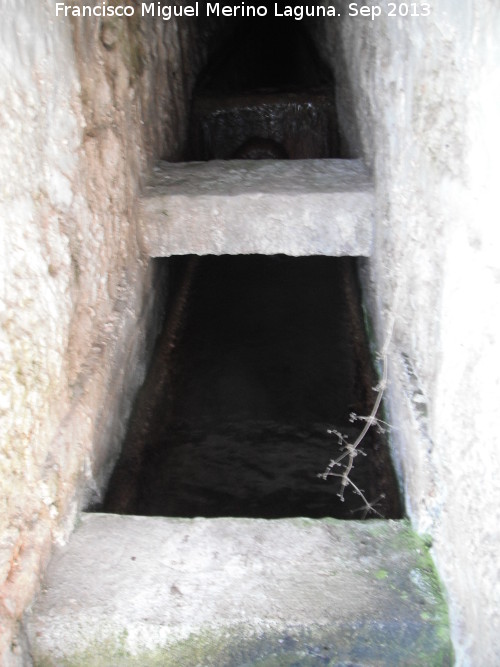 Galera de la Fuente de los Caos - Galera de la Fuente de los Caos. Interior