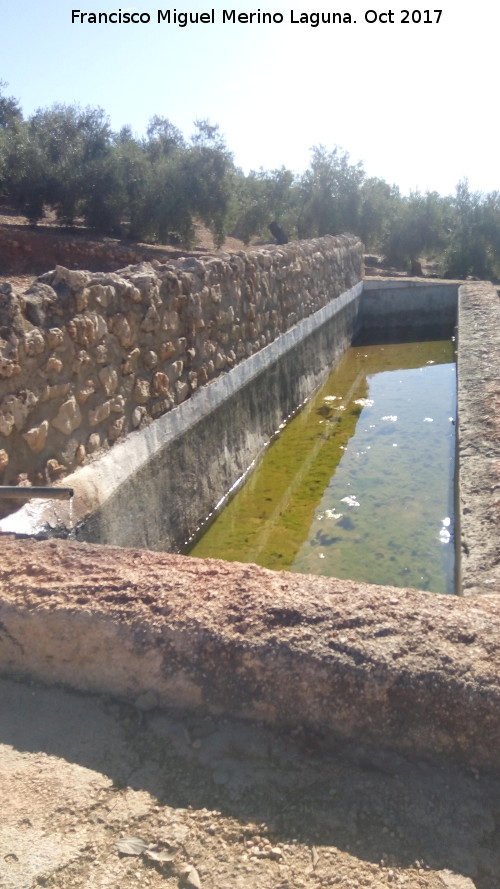 Fuente del Pilarejo - Fuente del Pilarejo. 