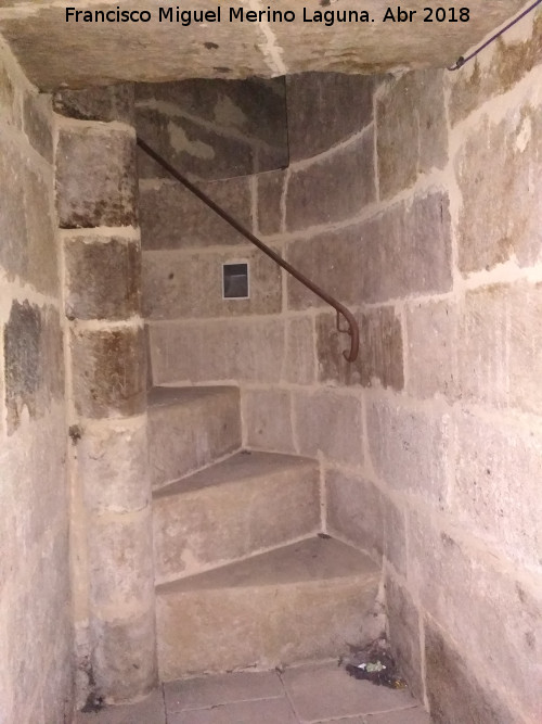 Escalera de caracol - Escalera de caracol. Catedral Vieja de Salamanca