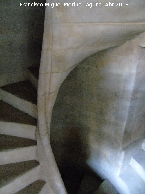 Escalera de caracol - Escalera de caracol. Casa de las Conchas - Salamanca
