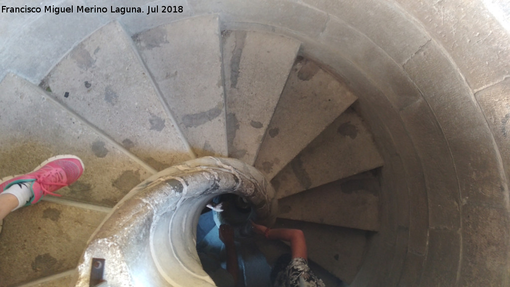 Escalera de caracol - Escalera de caracol. Iglesia de Santa Mara - Cazorla
