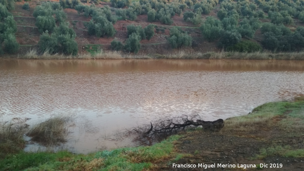 Charca de El Tostadero - Charca de El Tostadero. 